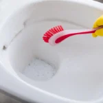 Une personne qui nettoie le fond des toilettes